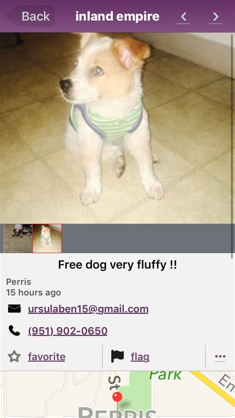 see also. . College station craigslist pets